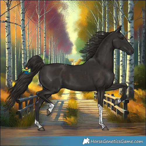 Horse Color:Liver Chestnut Tobiano Rabicano 