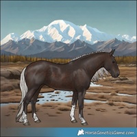 Horse Color:Silver Brown Tobiano Rabicano
