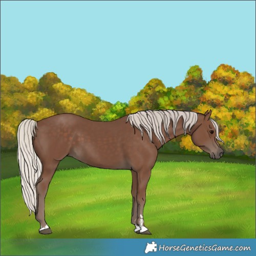 Horse Color:Silver Black 