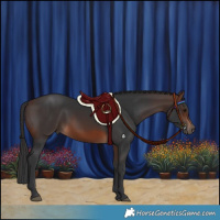 Horse Color:Brown 