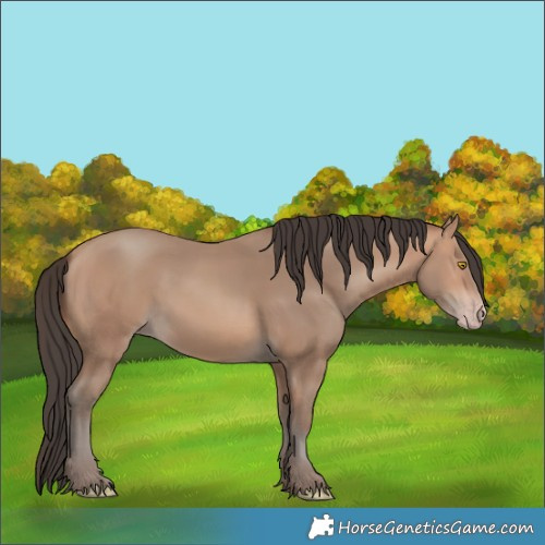 Horse Color:Amber Champagne