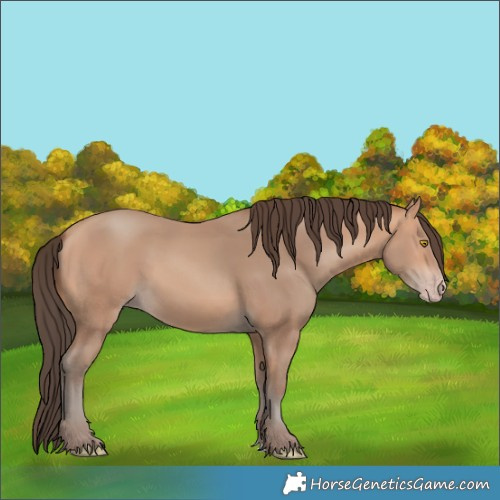 Horse Color:Amber Champagne 