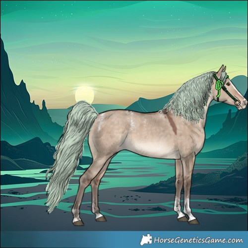 Horse Color:Powder White Silver Brown Dun Merle Splash 