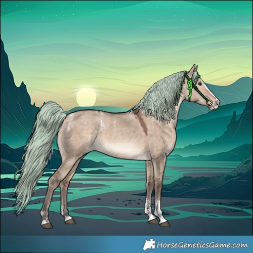 Horse Color:Powder White Silver Brown Dun Merle Splash 
