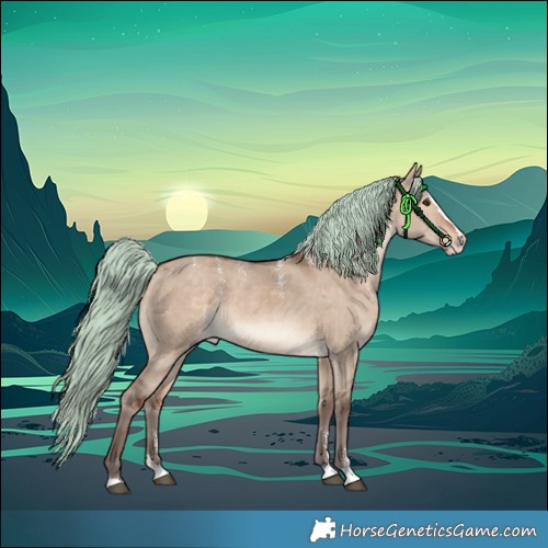 Horse Color:Powder White Silver Brown Dun Merle Splash Rabicano 