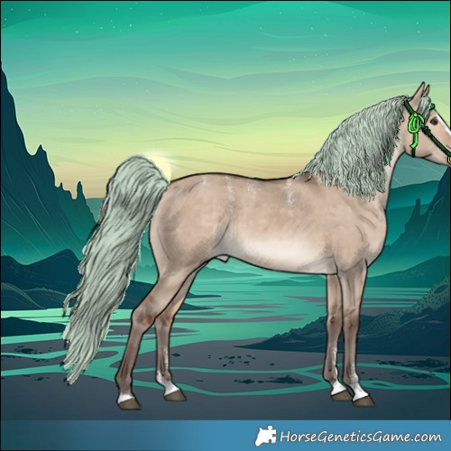 Horse Color:Powder White Silver Brown Dun Merle Splash Rabicano 