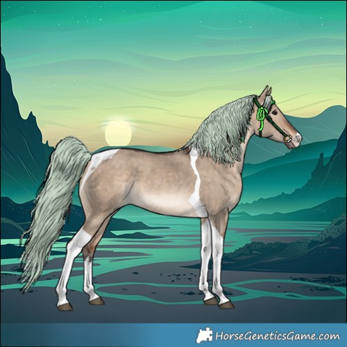 Horse Color:White Spotted Bay Dun Merle Tobiano 