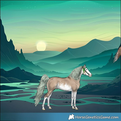 Horse Color:White Spotted Liver Red Dun Splash 