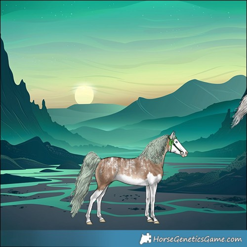 Horse Color:Powder White White Spotted Silver Bay Dun Splash Rabicano 