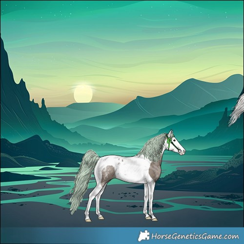 Horse Color:Powder White Silver Grullo Merle Splash Tobiano Rabicano 