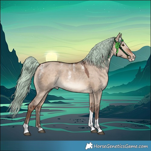 Horse Color:Powder White Silver Bay Dun Merle Splash Tobiano Rabicano