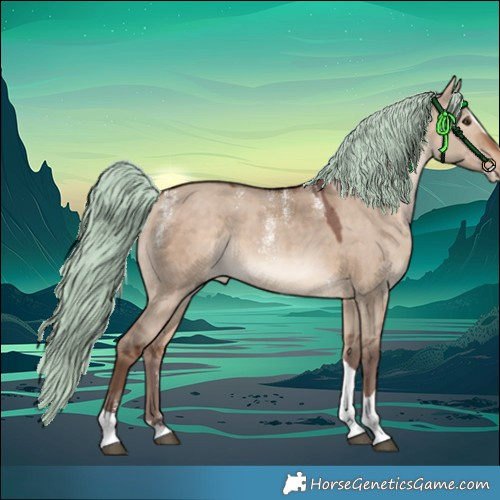 Horse Color:Powder White Silver Bay Dun Merle Splash Tobiano Rabicano