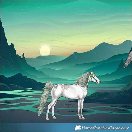 Horse Color:Powder White White Spotted Brown Dun Merle Splash Rabicano 