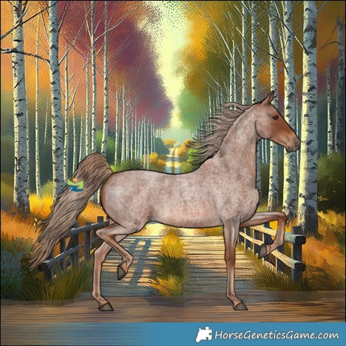 Horse Color:Red Roan 