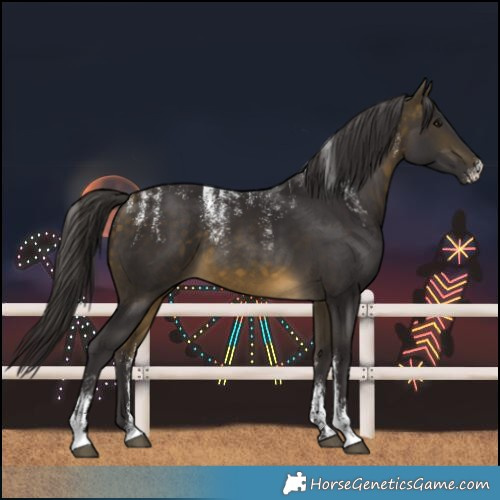 Horse Color:Powder White Buckskin 
