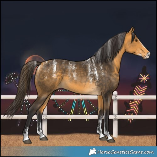 Horse Color:Powder White Buckskin 