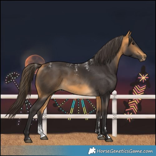 Horse Color:Powder White Buckskin 