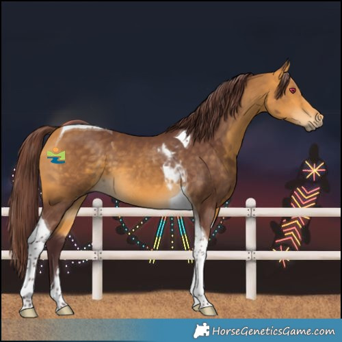 Horse Color:Chocolate Buckskin Tobiano 