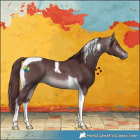 Horse Color:Chocolate Brown Chinchilla Tobiano
