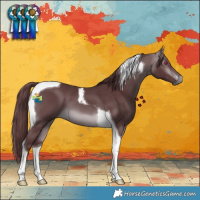 Horse Color:Chocolate Brown Chinchilla Tobiano