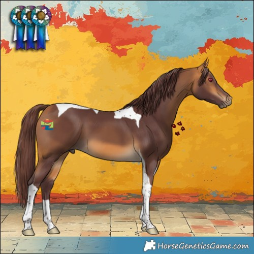 Horse Color:Chocolate Buckskin Tobiano 