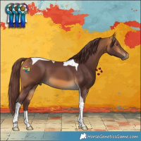 Horse Color:Chocolate Buckskin Tobiano