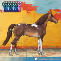 Horse Color:Chocolate Buckskin Tobiano 