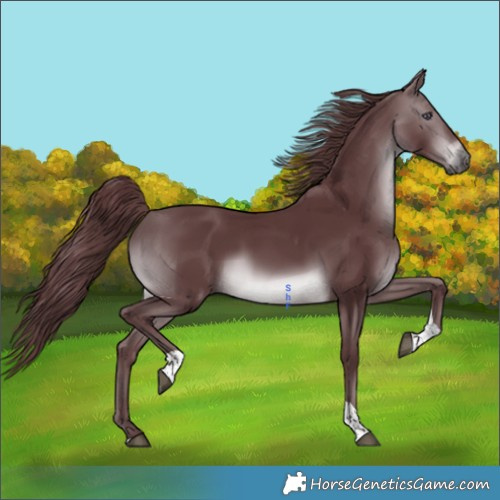 Horse Color:Chocolate Brown Chinchilla Tobiano 