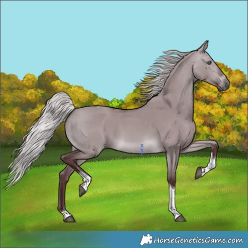 Horse Color:Chocolate Silver Brown Chinchilla Dun Tobiano 