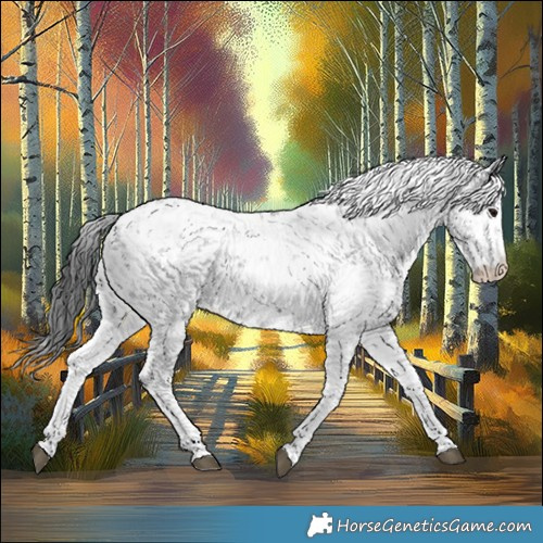 Horse Color:Black Sabino 