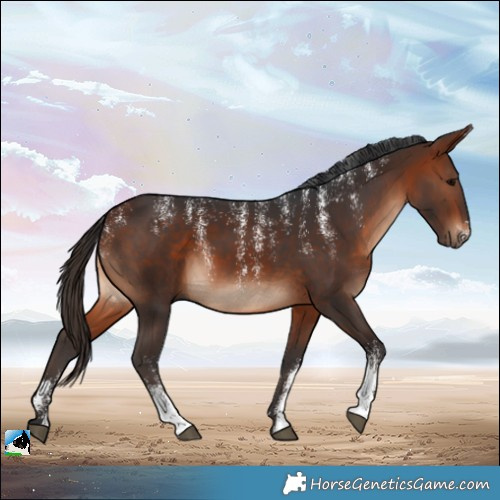 Horse Color:Powder White Bay 