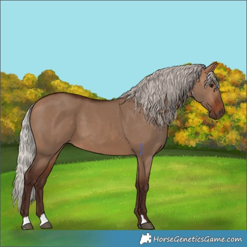 Horse Color:Silver Bay Dun