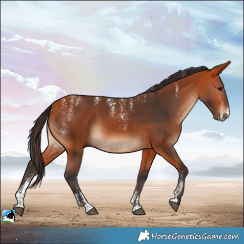 Horse Color:Powder White Bay 