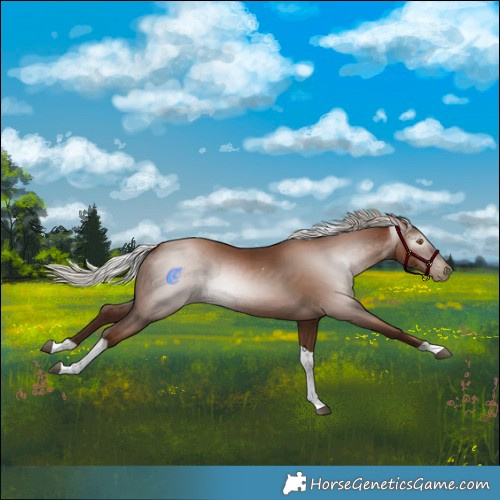 Horse Color:Gray Silver Black Pearl Tobiano 