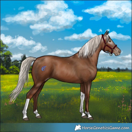 Horse Color:Gray Silver Black Pearl Tobiano 