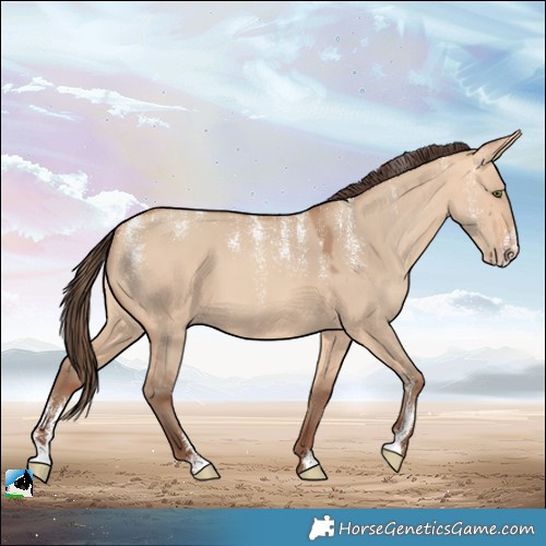 Horse Color:Powder White Amber Champagne Dun