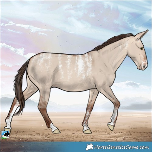 Horse Color:Powder White Amber Champagne Dun