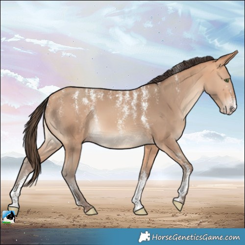 Horse Color:Powder White Amber Champagne