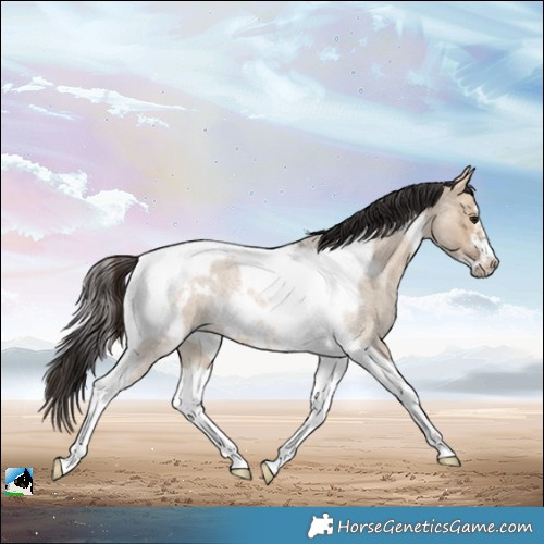 Horse Color:Bay Roan Dun Tobiano Frame Rabicano 