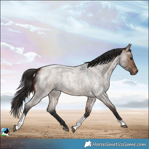 Horse Color:Bay Roan Dun Tobiano Rabicano 