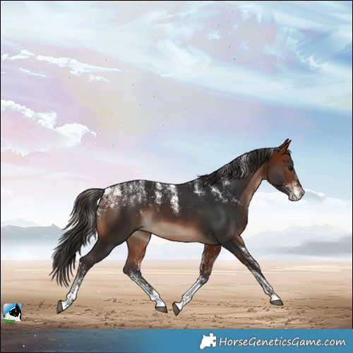 Horse Color:Powder White Bay