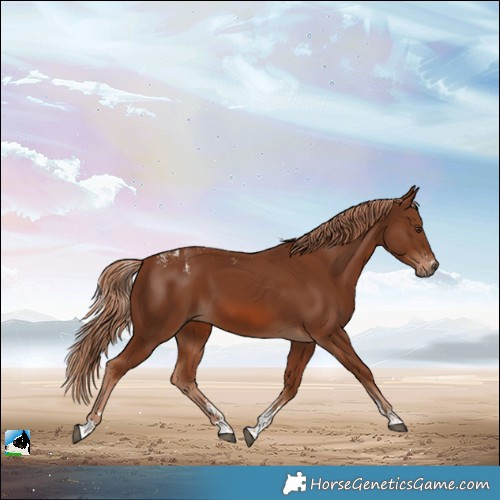 Horse Color:Powder White Chestnut 