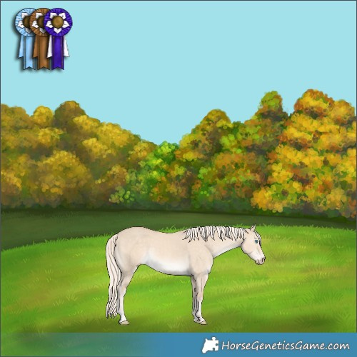 Horse Color:Cremello Dun Rabicano 
