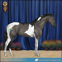 Horse Color:Gray Grullo Tobiano 