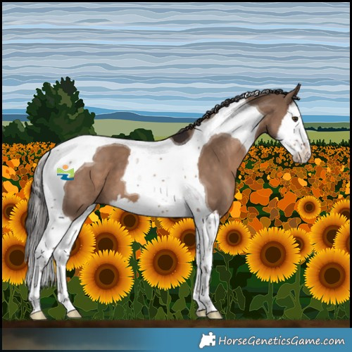 Horse Color:Liver Red Dun Splash Tobiano 