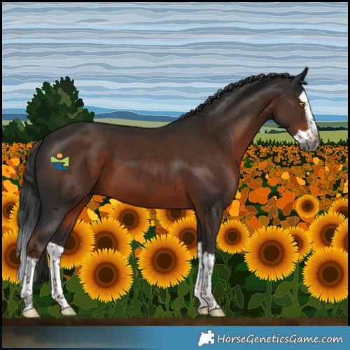 Horse Color:Gray Liver Chestnut Splash 