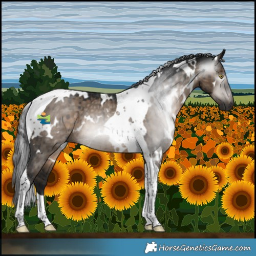 Horse Color:Gray White Spotted Brown Dun Tobiano Brindle 