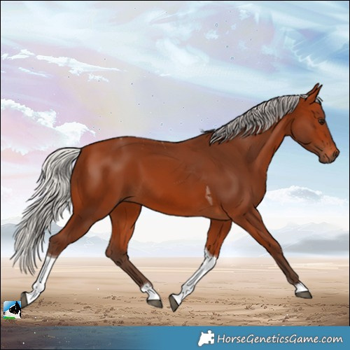 Horse Color:Silver Bay Tobiano