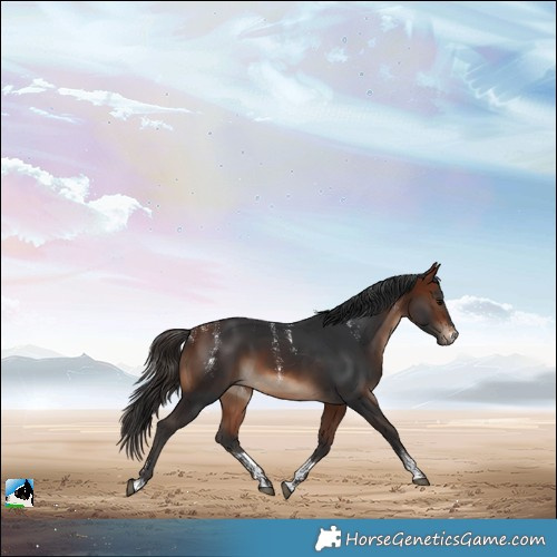 Horse Color:Powder White Bay Rabicano
