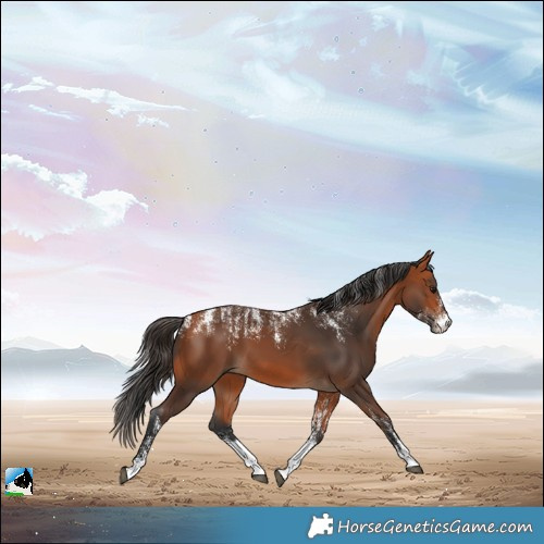 Horse Color:Powder White Bay 